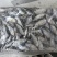 微山湖生态鳑鲏鱼新鲜净堂淡水鱼速冻通货全国发货量大从优