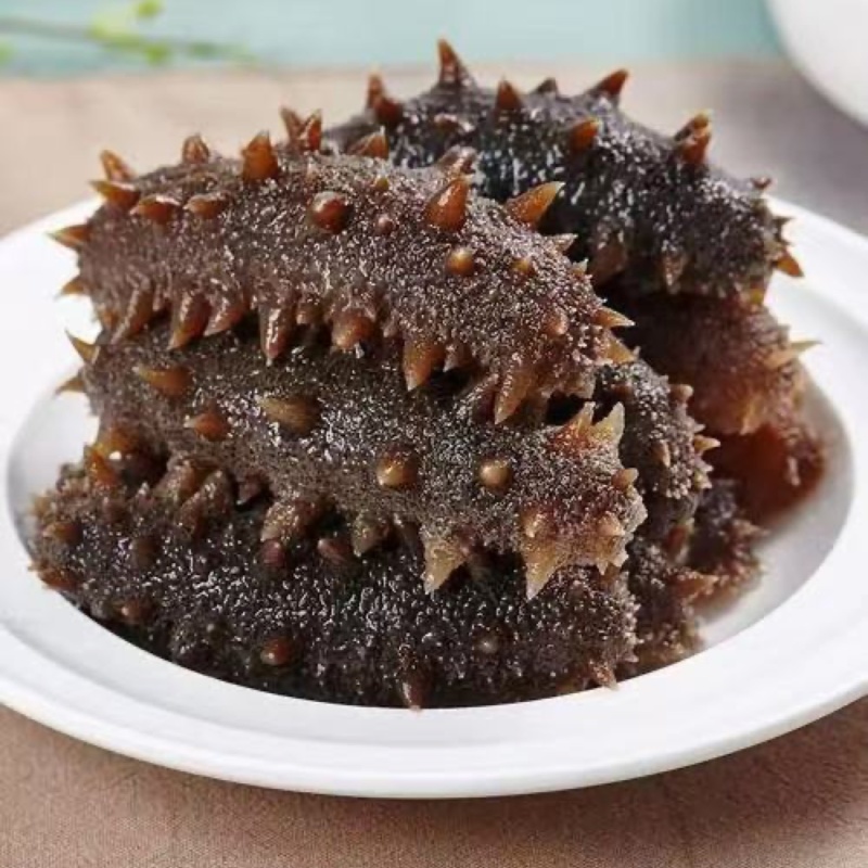 【新鲜海参】即食参，海鲜直发新鲜到家6-12头，规格齐全