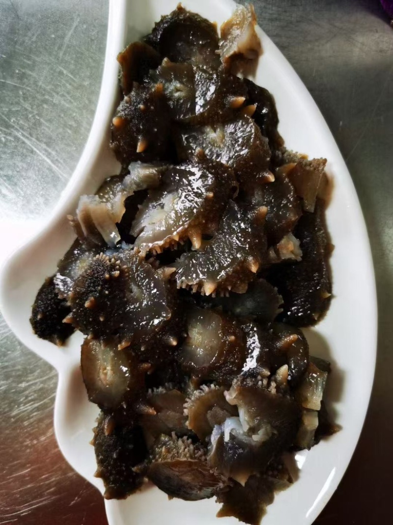 【新鲜海参】即食参，海鲜直发新鲜到家6-12头，规格齐全