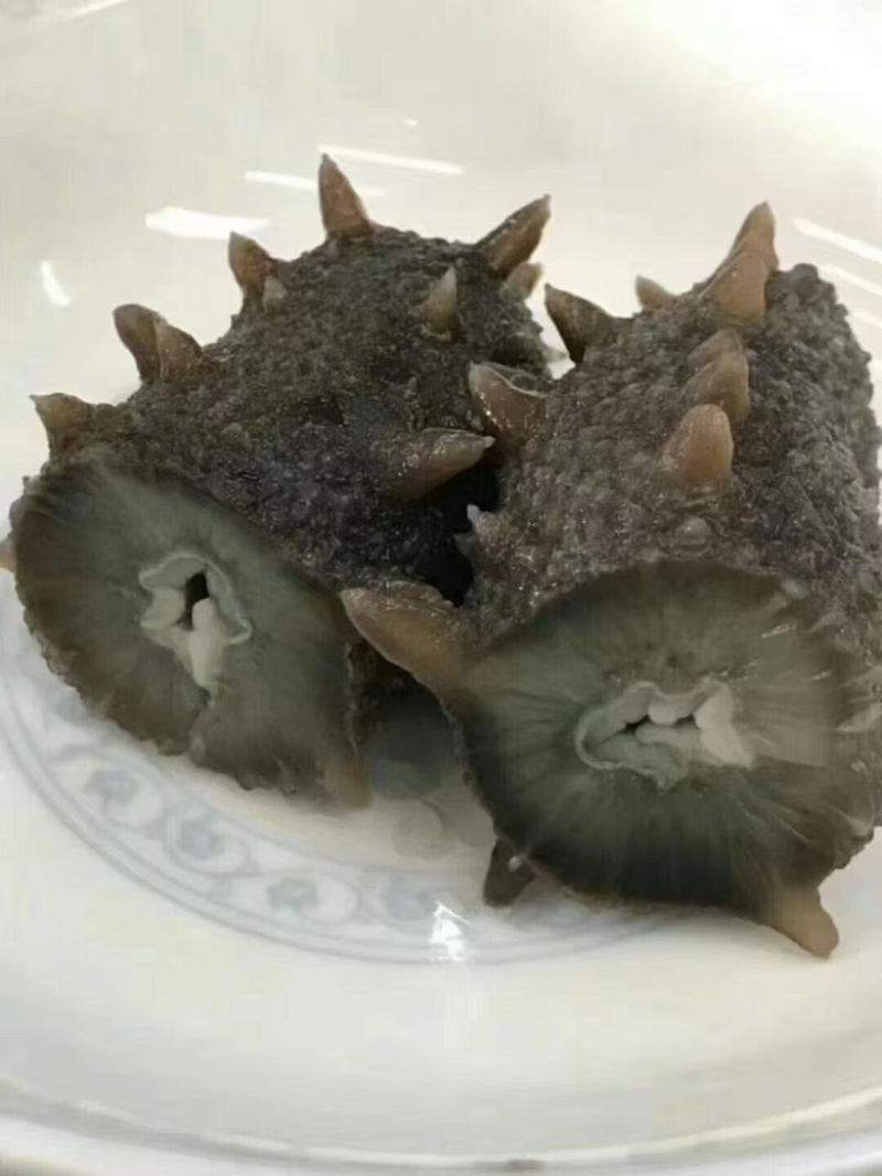 【新鲜海参】即食参，海鲜直发新鲜到家6-12头，规格齐全