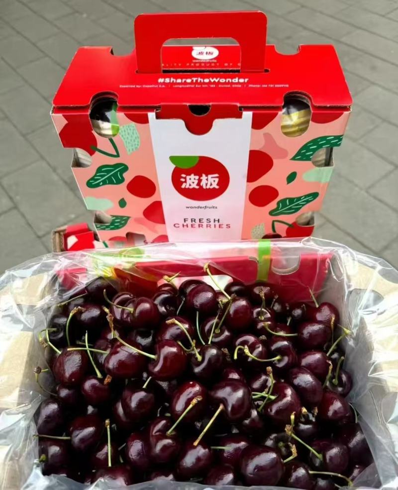 精品车厘子江苏桑缇娜大量供应，口感丰富，耐储存一手货源。