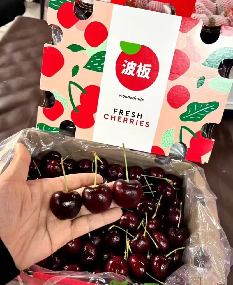 精品车厘子江苏桑缇娜大量供应，口感丰富，耐储存一手货源。