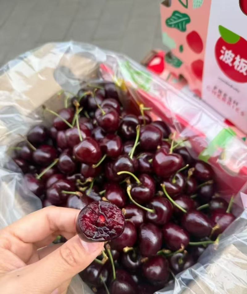 精品车厘子江苏桑缇娜大量供应，口感丰富，耐储存一手货源。