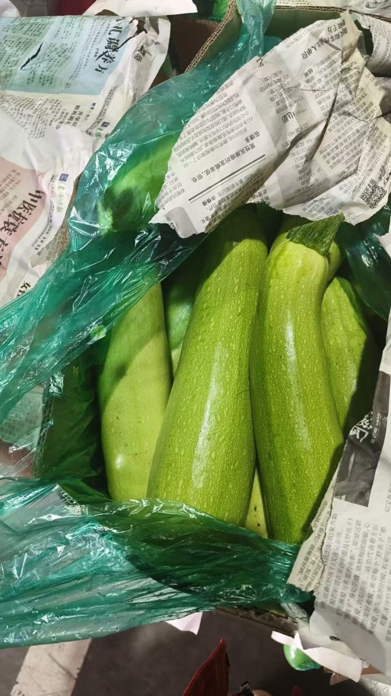 绿皮西葫芦，江苏产地出发，货源充足，量大从优，可实地验货