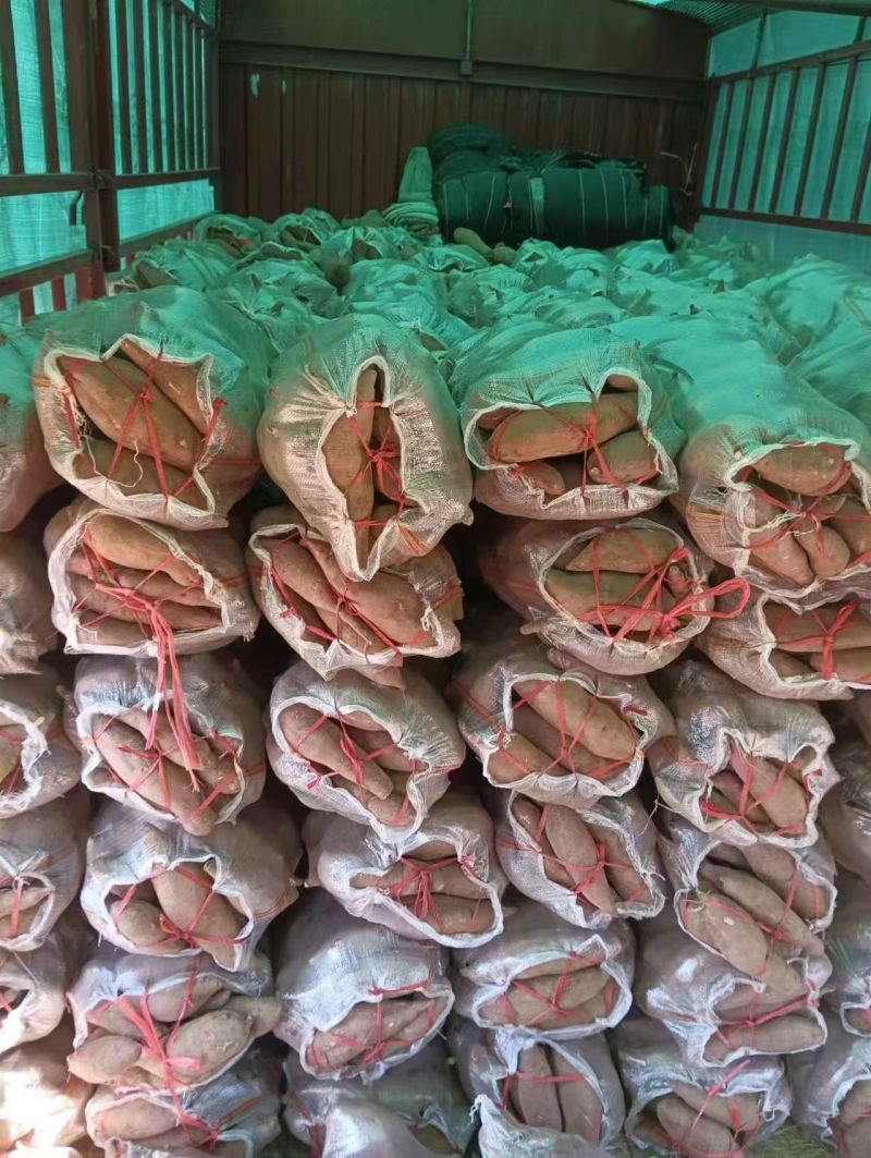 精品板栗薯济薯26产地直供大量有货，供超市批发市场超市