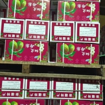 库尔勒香梨预约中，价格比较优惠
