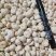 半夏种子一手货源需要的老板电话联系