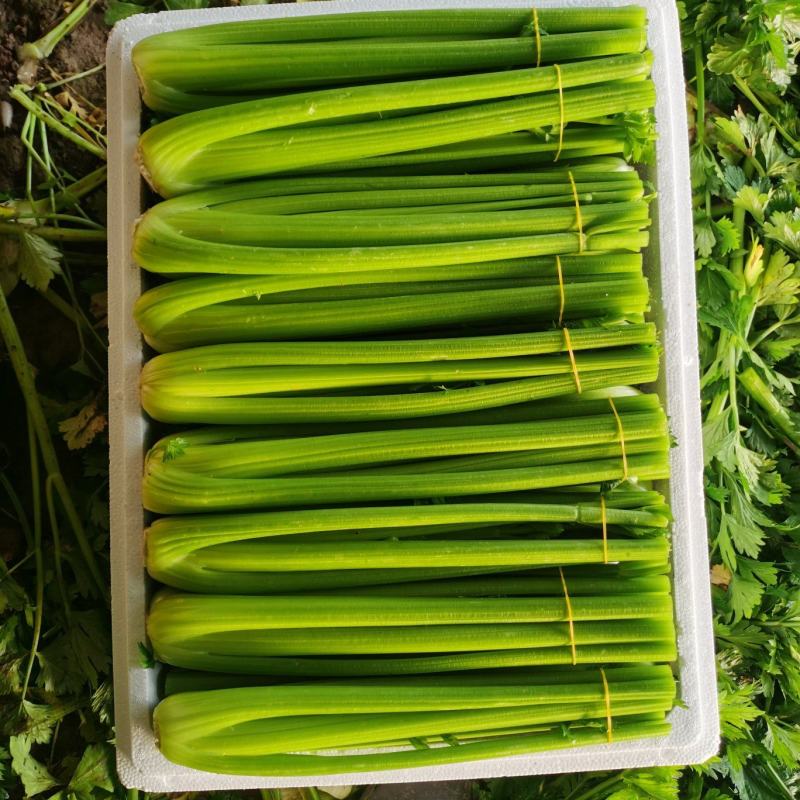 优质蔬菜，精品西芹，中颗一斤二两以上，大颗二斤以上