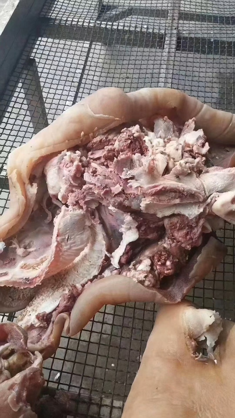 全熟带皮熟大公牛牛头肉、适合炒菜、凉拌、熬汤。