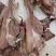 全熟带皮熟大公牛牛头肉、适合炒菜、凉拌、熬汤。