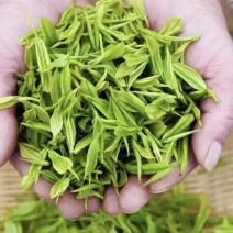 【新鲜绿茶】青岛崂山绿茶，精心研制一口好茶，欢迎下单