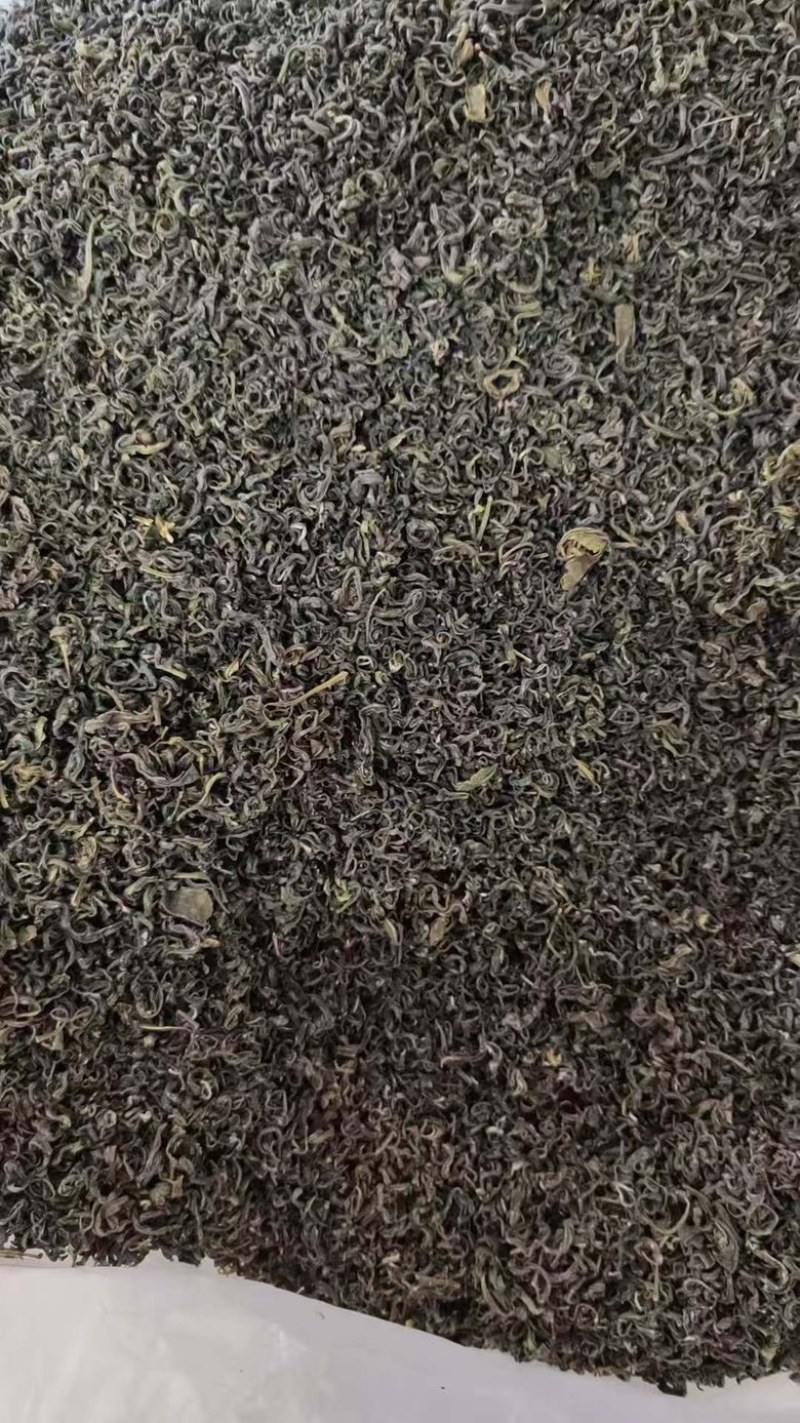 【新鲜绿茶】青岛崂山绿茶，精心研制一口好茶，欢迎下单