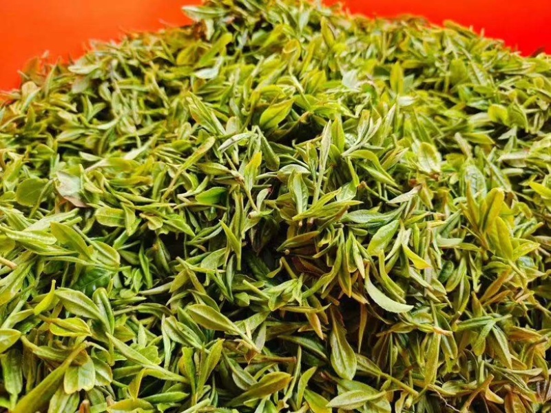 【新鲜绿茶】青岛崂山绿茶，精心研制一口好茶，欢迎下单