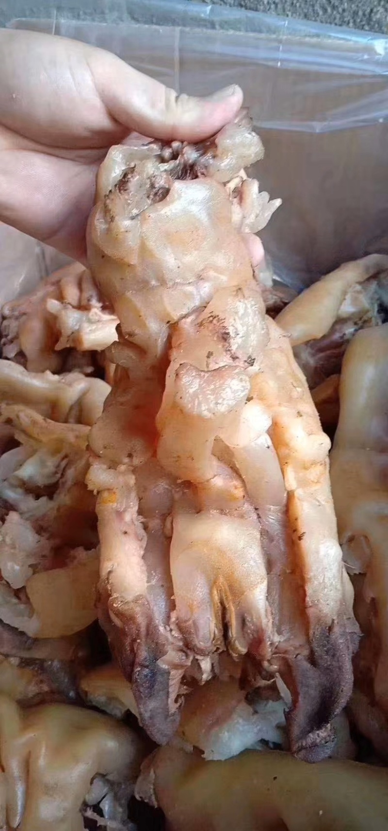 熟牛蹄筋，开袋即食。。。
