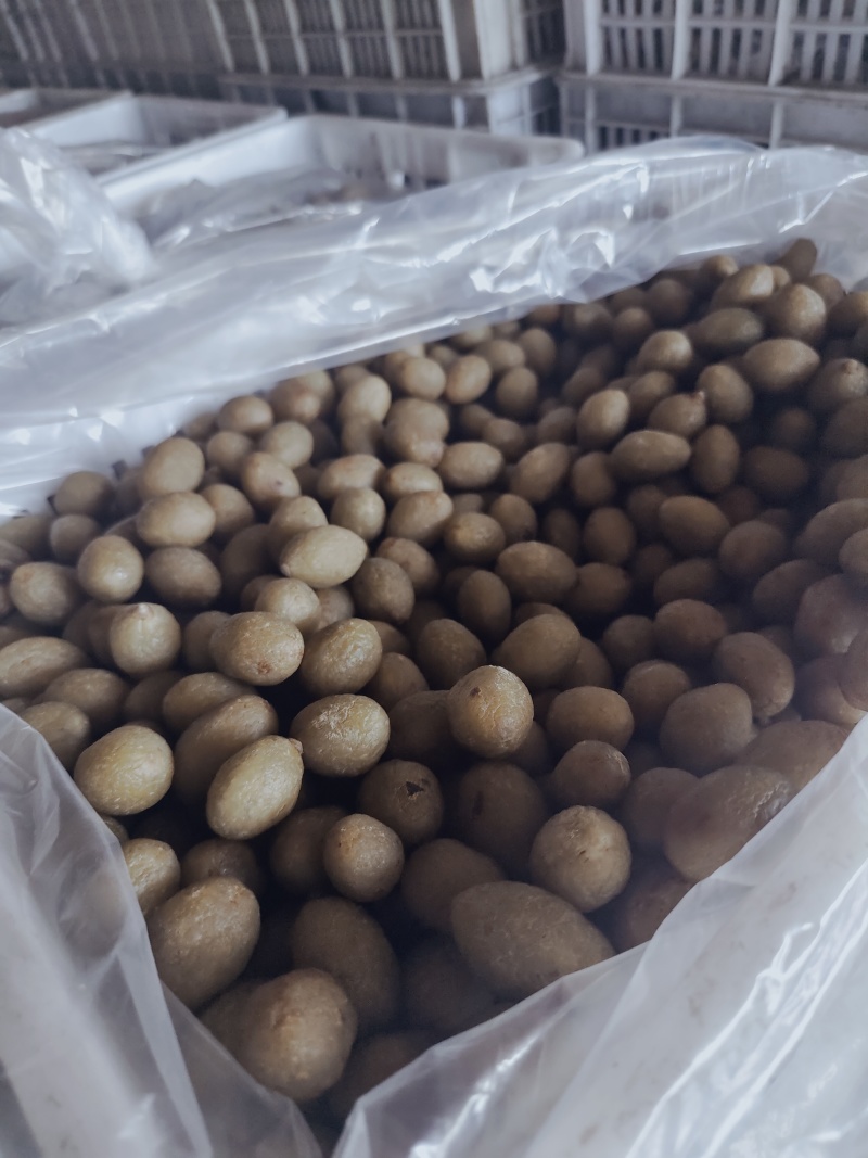 甘草橄榄低价电商货需提前预订