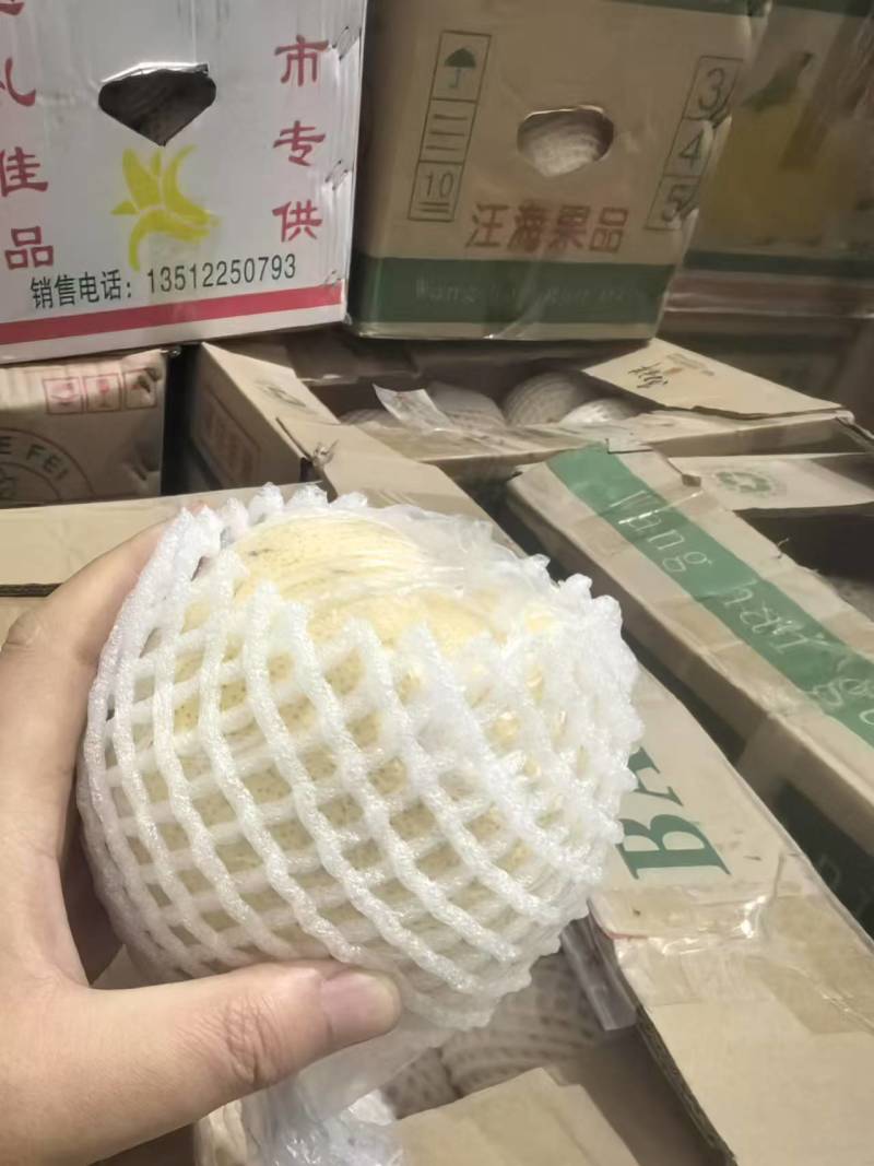 【实力】陕西酥梨基地直发对接商超社区团购多多买菜现货