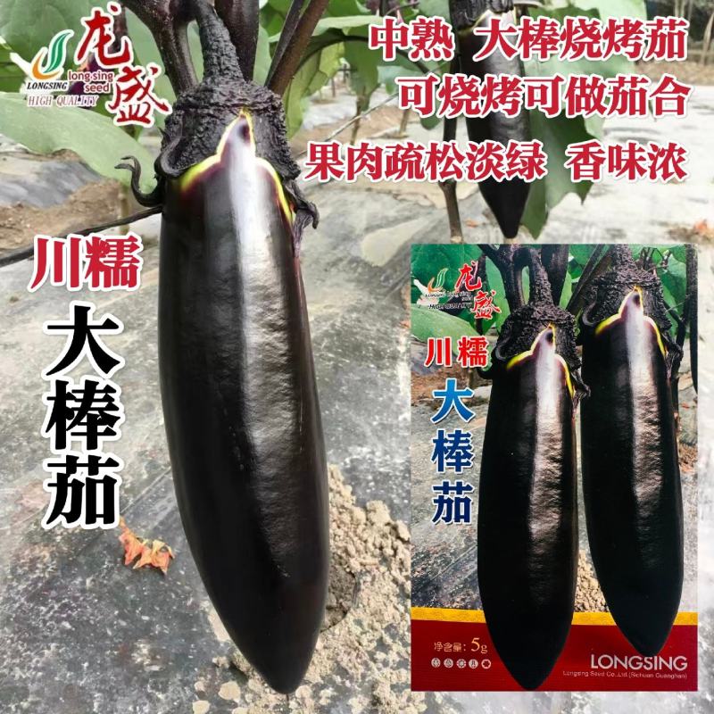川糯大棒茄种子高产黑又亮棒茄绿肉茄子种子紫黑烧烤茄种子