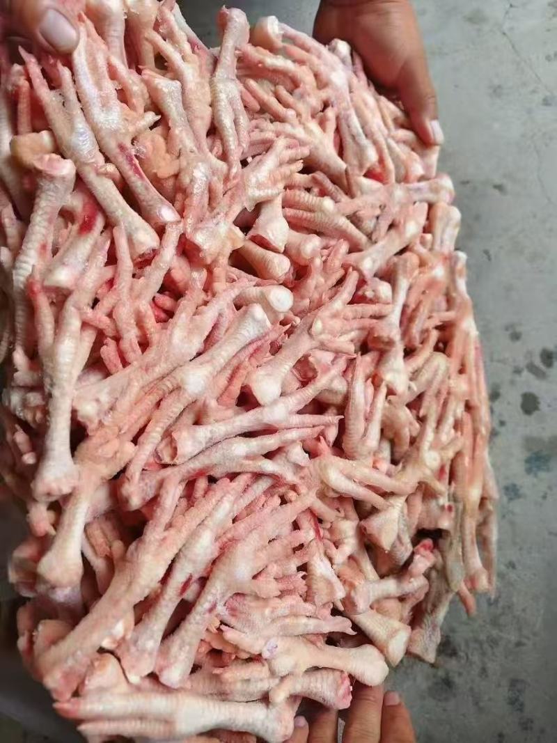 冷冻长鸡爪生鲜鸡爪大鸡爪柠檬泡椒凤爪批发