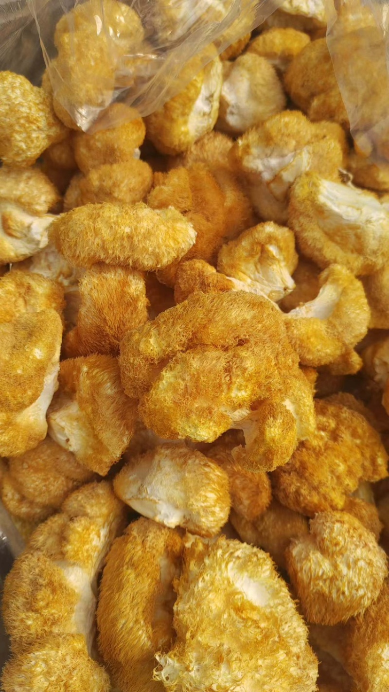 猴头菇干货，产地直供一手货源质量保证长期供应