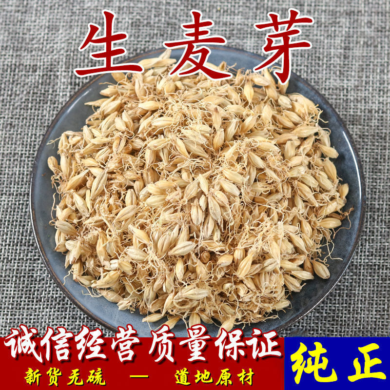 【麦芽】生麦芽炒麦芽量大从优物美价廉