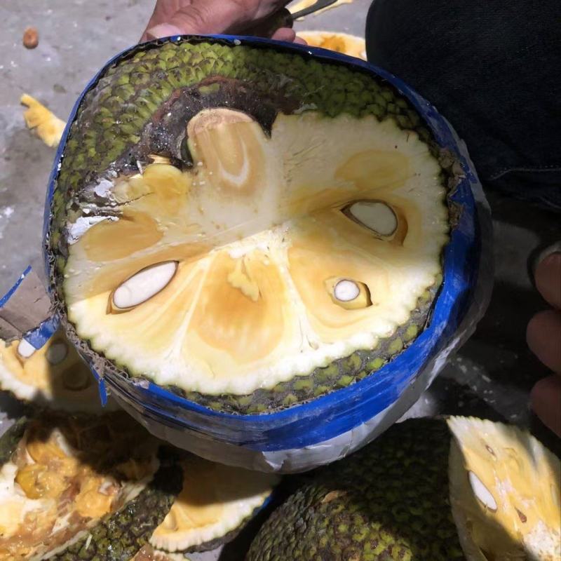 菠萝蜜