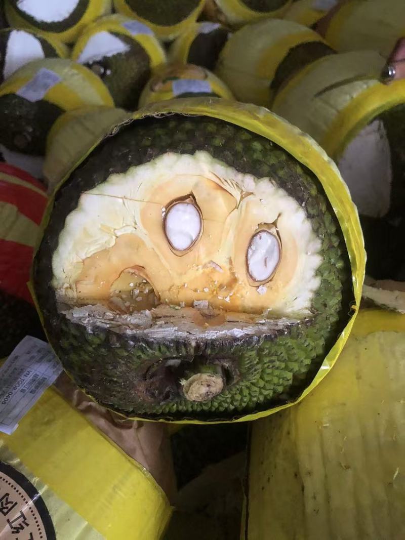 菠萝蜜