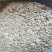 【黄瓜籽】药用物美价廉产地直供量大从优