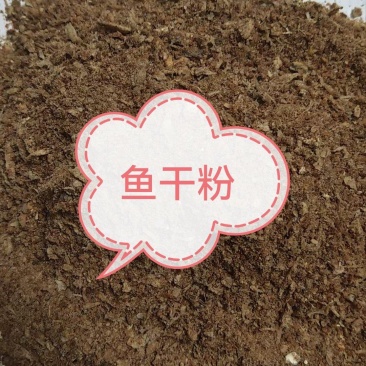 鱼干鱼排粉蛋白55喂家禽猪性价比高好质量好价格低