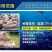 鱼干鱼排粉蛋白55喂家禽猪性价比高好质量好价格低