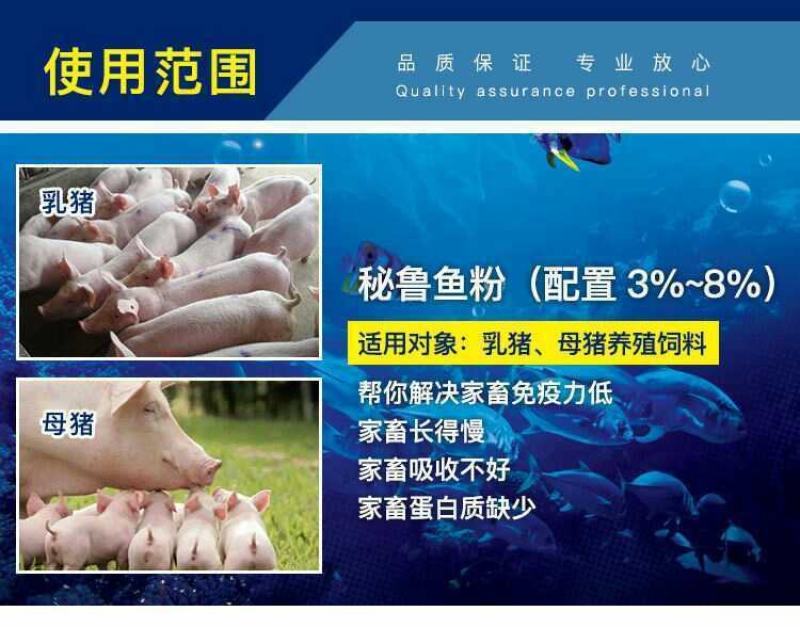 鱼干鱼排粉蛋白55喂家禽猪性价比高好质量好价格低