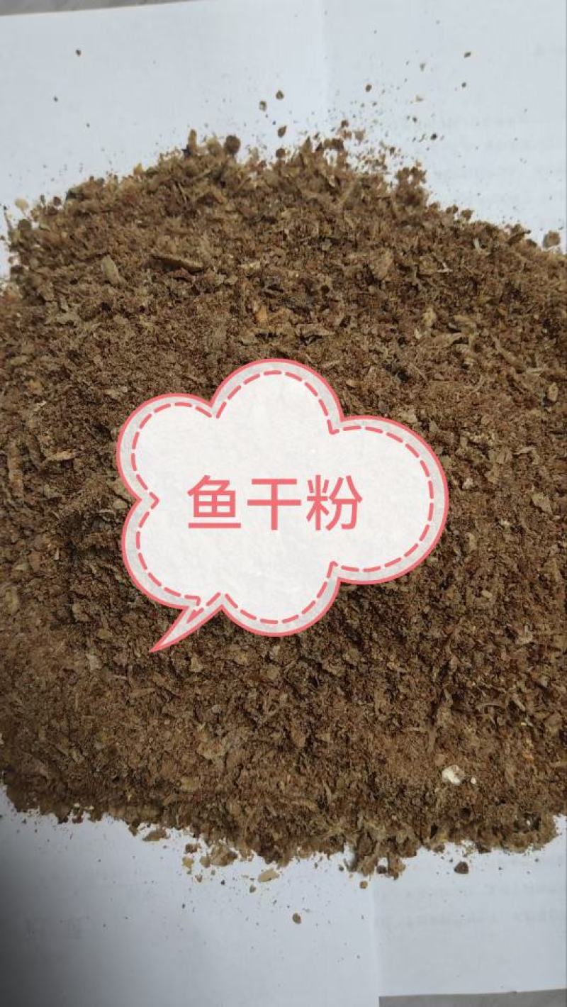 鱼干鱼排粉蛋白55喂家禽猪性价比高好质量好价格低
