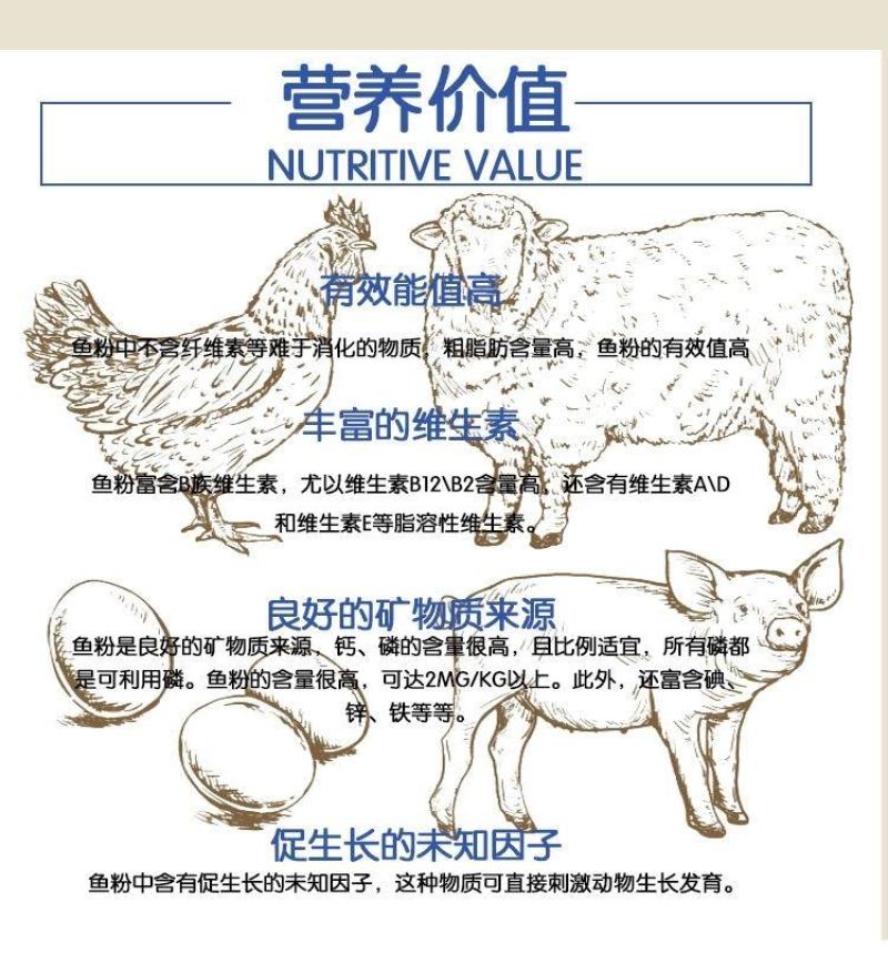 鱼干鱼排粉蛋白55喂家禽猪性价比高好质量好价格低