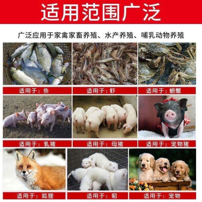鱼干鱼排粉蛋白55喂家禽猪性价比高好质量好价格低