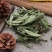 【甜叶菊】甜叶菊茶用级别物美价廉产地直供