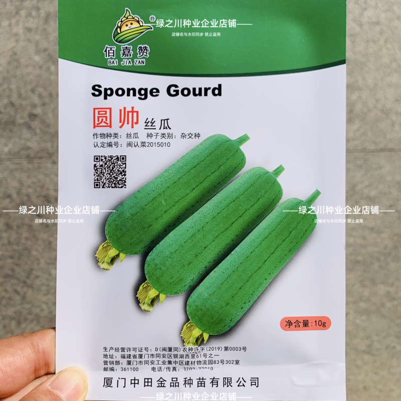 中田金品圆帅丝瓜种子短棒型不黑汤肉丝瓜种籽脆甜特高产丝瓜