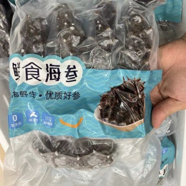 鲜食辽参大连辽参即食海参免发海参鲜蒸海参工厂批发价