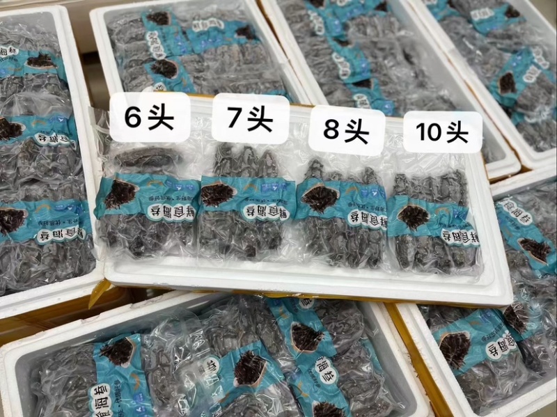 鲜食辽参大连辽参即食海参免发海参鲜蒸海参工厂批发价