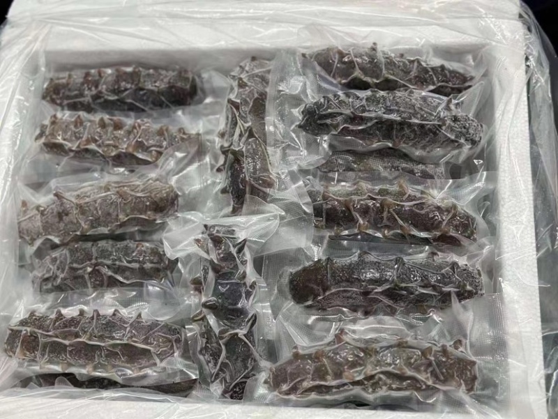 鲜食辽参大连辽参即食海参免发海参鲜蒸海参工厂批发价