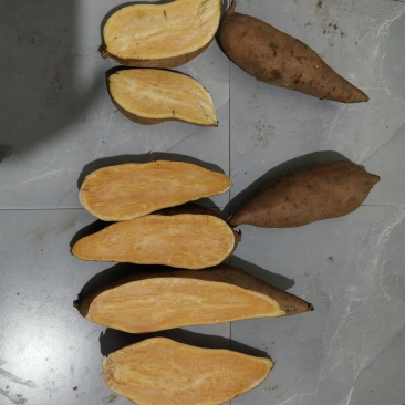 龙薯九精品