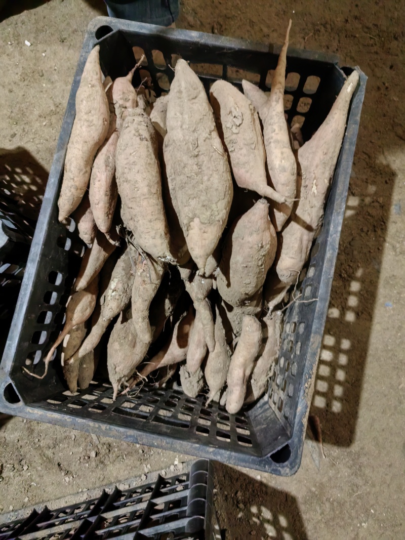 哈密通货