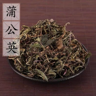 【蒲公英】蒲公英各种规格物美价廉产地直供
