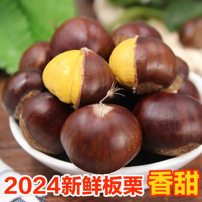 【精】2024年迁西老树板栗软糯香甜人工挑选炒货店专用