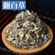 【翻白草】翻白草各种规格物美价廉产地直供