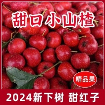 【甜红子山楂】现摘现发酸甜软糯人工挑选品质保证