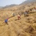 兰州张家大坪韭黄基地