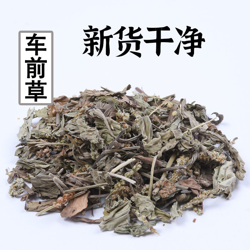【车前草】车前草统产地直供量大从优物美价廉