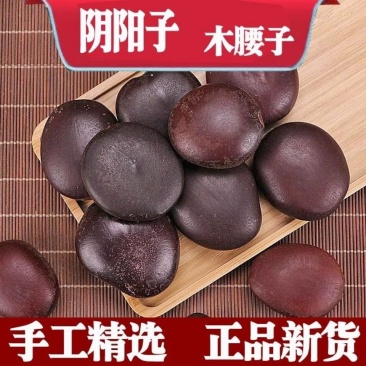 【木腰子】木腰子过江龙子量大从优物美价廉