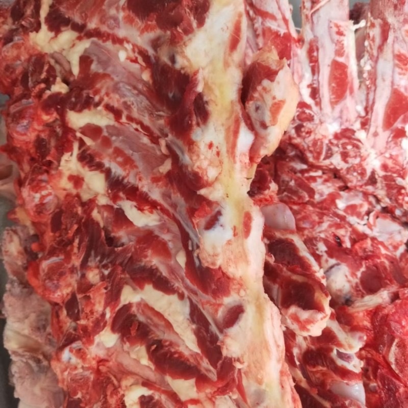 牛蝎子整根牛大梁牛脖骨多肉价格不高鲜货