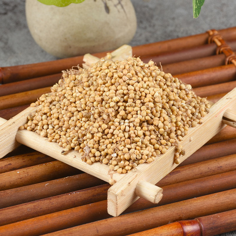 【谷芽】生谷芽炒谷芽量大从优物美价廉产地直供