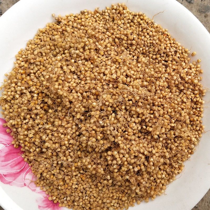 【谷芽】生谷芽炒谷芽量大从优物美价廉产地直供